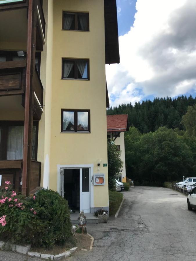 Eisenstein Lägenhet Bayerisch Eisenstein Exteriör bild